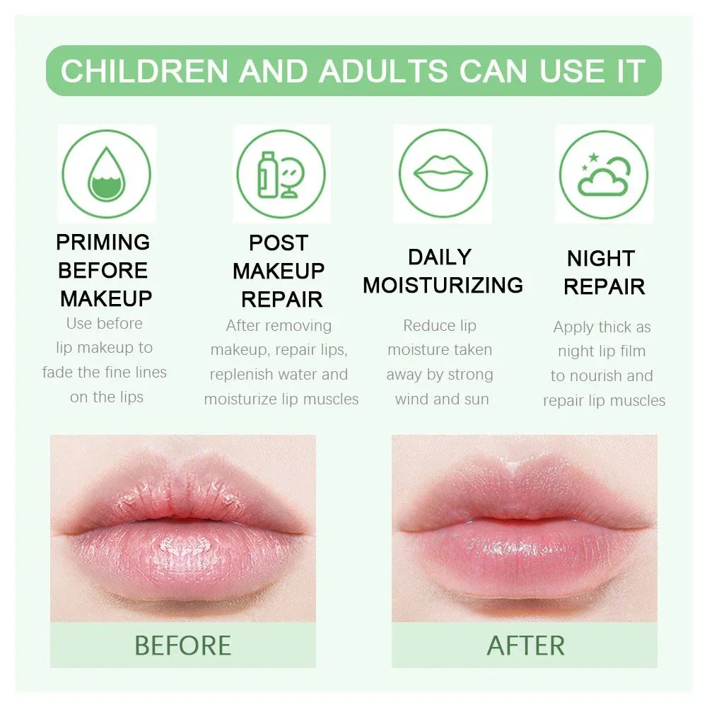Fruit Lip Balm Fashion by Wany Beauty
