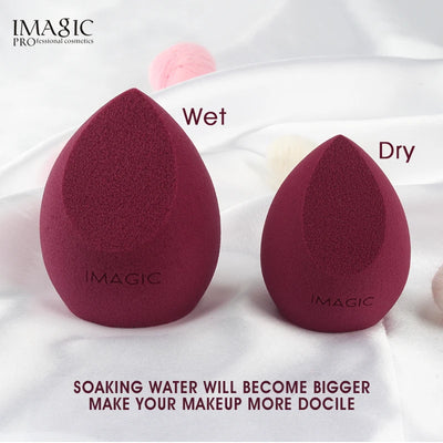 Beauty Sponge Face Wash Puff by Wany Beauty